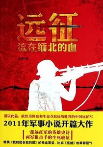 远征:流在缅北的血