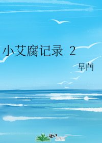 小艾腐记录 2